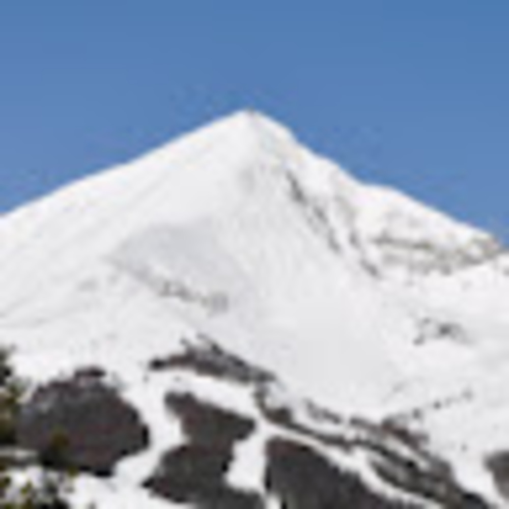 Meet your Posher, Meg